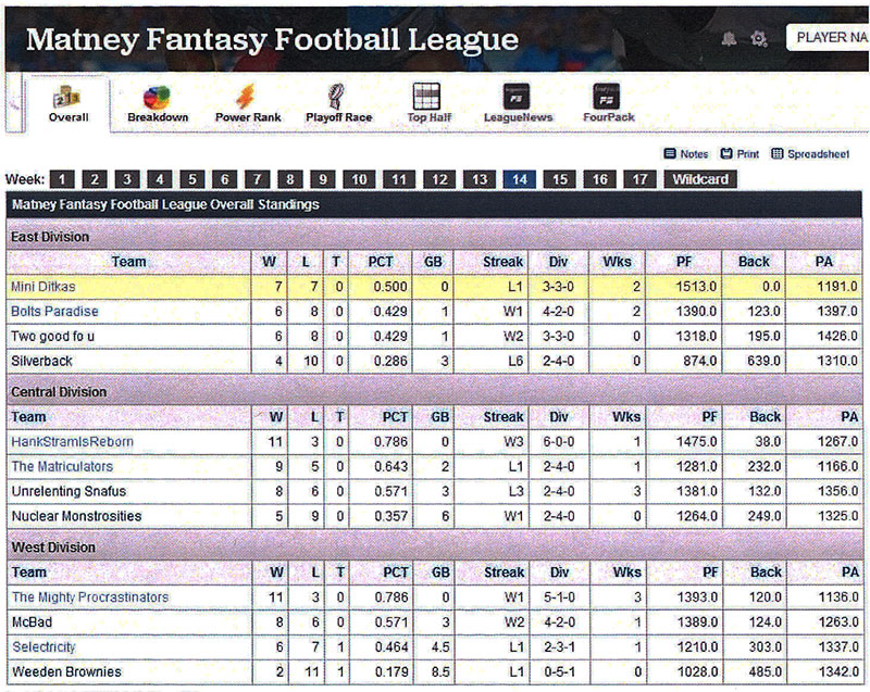 2013_fantasy1